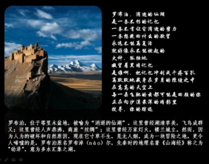 甜美洋气小公主